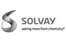 Solvay in Italia